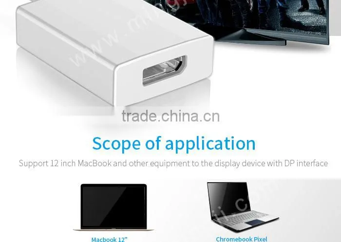 Usb type c to DP adapter for Mac computer