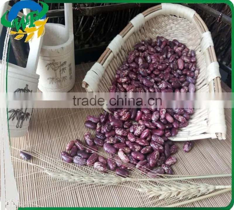 Chinese purple Speckled Kidney beans for sale