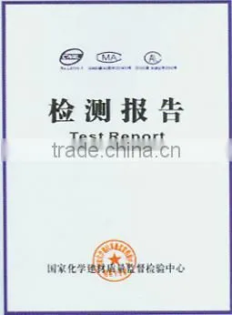Test Report