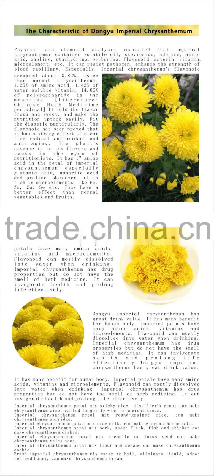 ancient Chinese medicine for herbal therapy and herbal remedy chrysanthemum