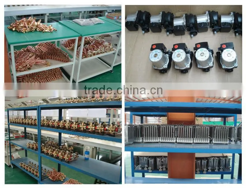 Multi Functions Wall Mounted Gas Boiler
