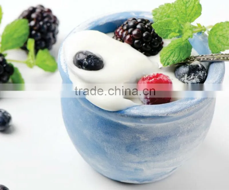 electric greek yogurt maker