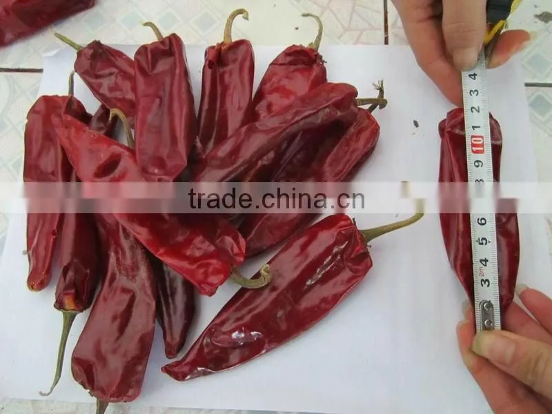 red chilli