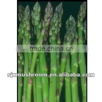 canned asparagus