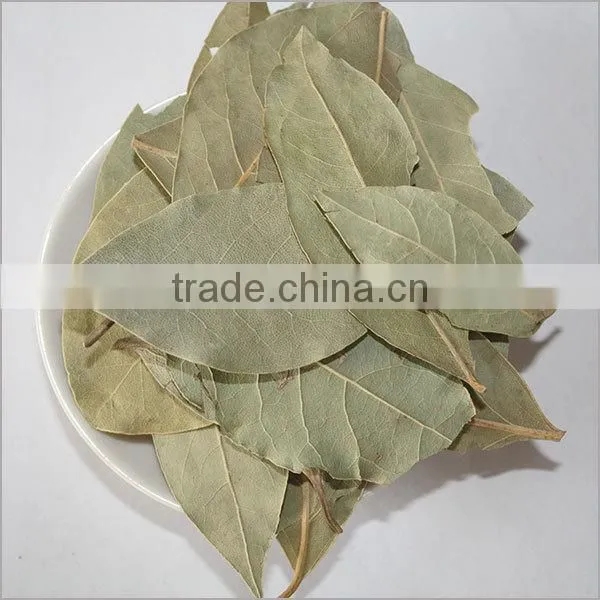 dried bay leaves