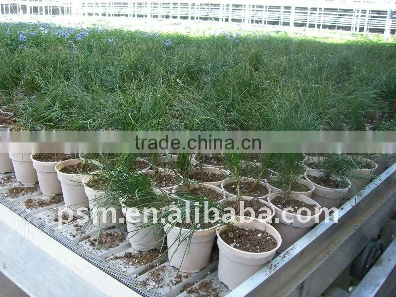 biodegradable eco friendly plastic flower pot