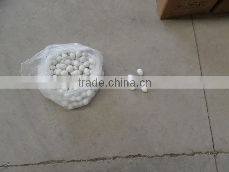 false pigeon egg