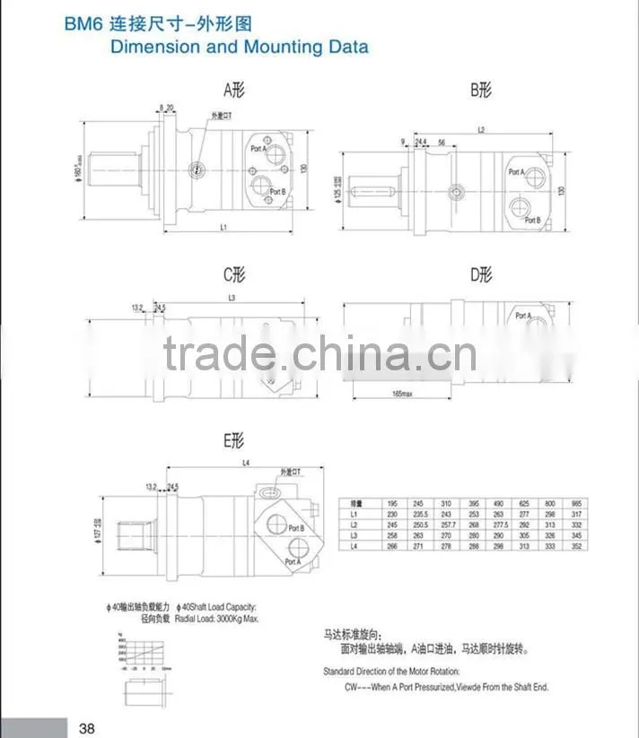 BM Series Hydraulic Motor