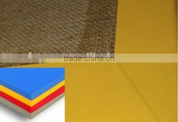 Best seller eva mat/judo mat/yoga mat/kungfu mat/tatami mat/GYM mat