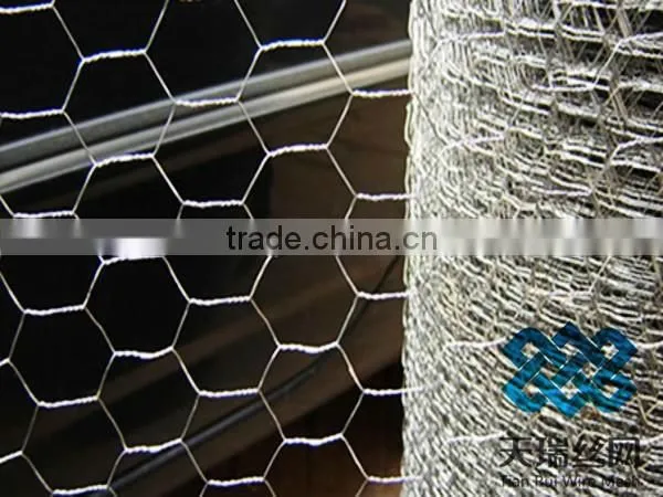 pvc coated/galvanized hexagonal wire mesh