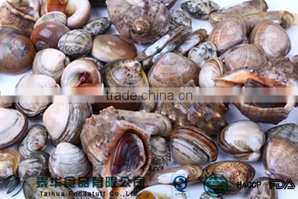 Whole Round Frozen Razor Clam Shellfish with Shell Chinese Supplier