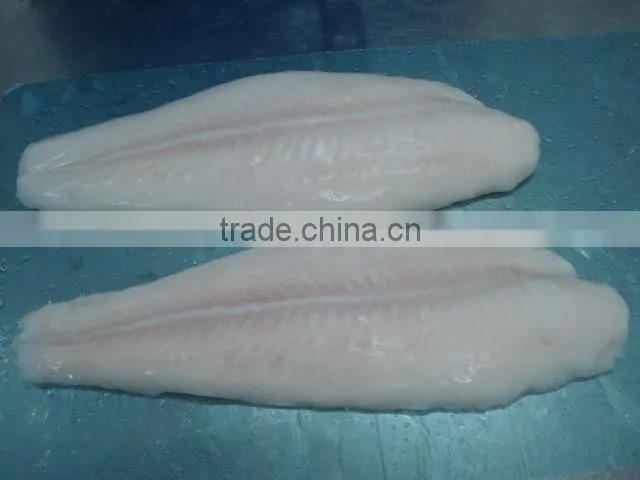 Pangasius fish/ frozen pangasius fillet/ basa fillet