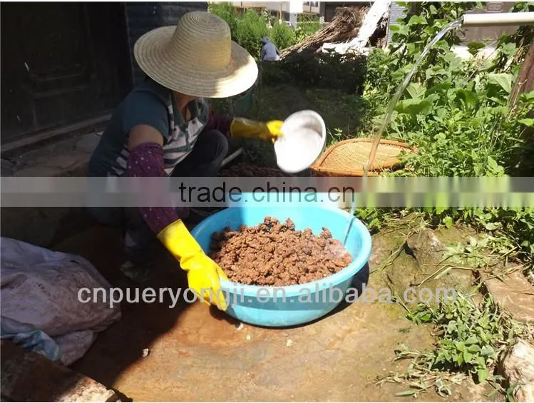 Factory Supply Dietary Supplyment 100% Natural panax Notoginseng P.E. / Wild Radix Notoginseng Extract