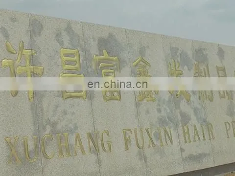 Xuchang Fuxin Hair Products Co., Ltd. company overview - view 1