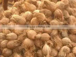 Fresh vegetables from asian countrt