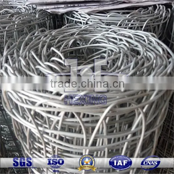 Galvanized Coal Mine Support Wire Mesh