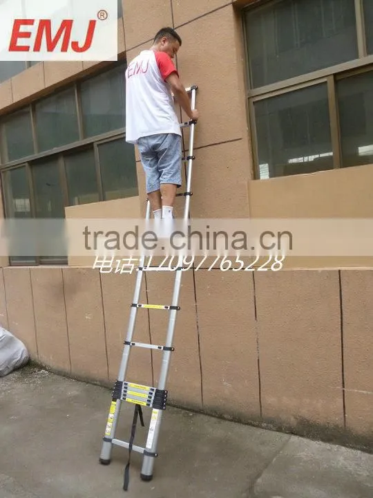 carry bag for telescopic ladder hot selling in ebay.