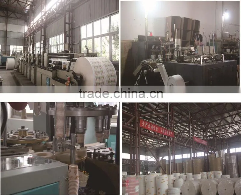 Hot/Cold Drink Disposable Different Lid Paper Cup