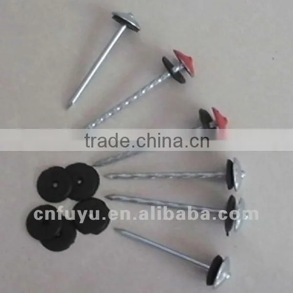 galvanized umbrella roofing nails factory