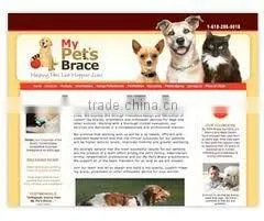Professional ads platform website design