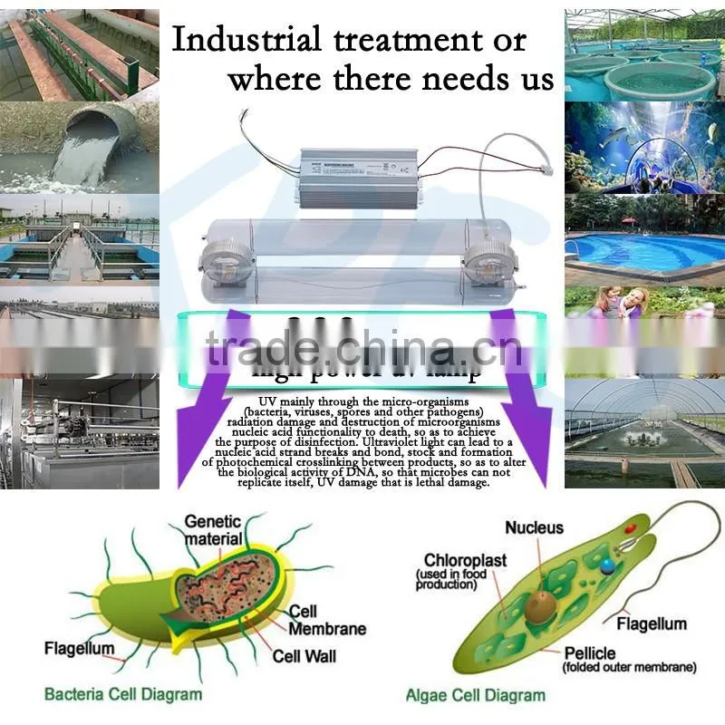 Swimming pool water treatment 300W 185nm 254nm High frequency uv lamp