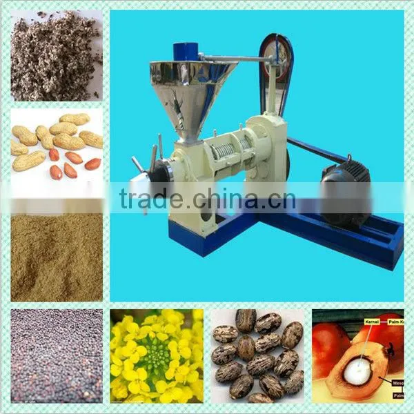 Mature technology cold screw oil press machine with ISO&CE
