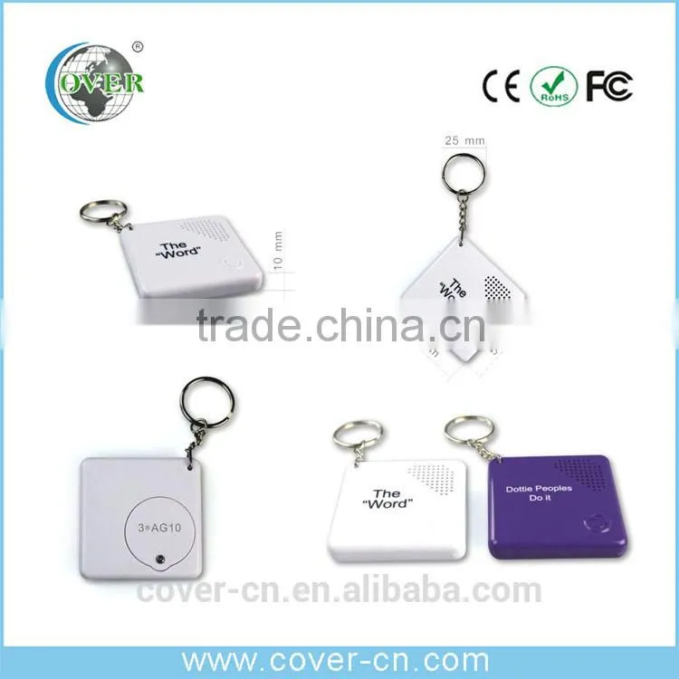 Promotion items LED Keychain & Plastic Keychain for gifts