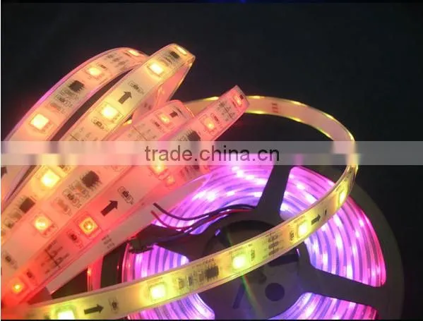 Pool Swiming led strip white PCB Silicon Coating 30leds/meter outdoor lighting waterproof ip68 ws2811 flexible strip