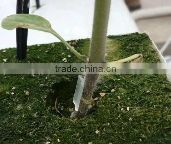 Plant Grafting Clip