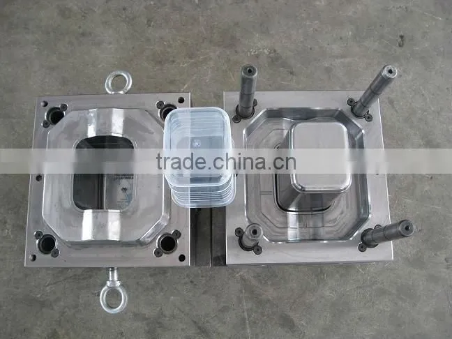plastic cantainer mould