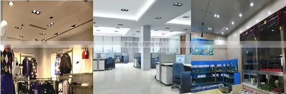 Double head 2 * 25W cob led downlight with epistar chip, CE&RoHS