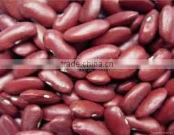 2015 new crop red kidney beans shandong
