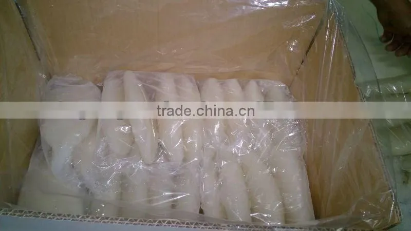 seafood squid tube U5/ U10