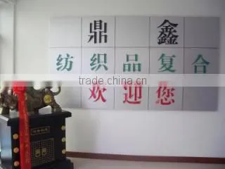 Haiyan Dingxin Textile Composite Co., Ltd. company overview - view 2
