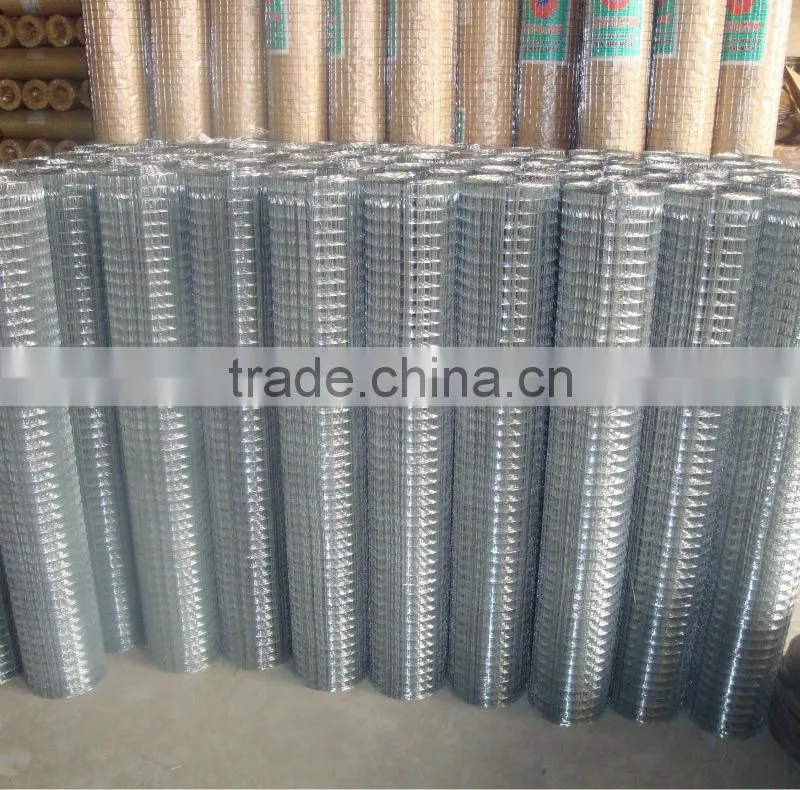Zinc Coated&PVC Welded Wire Mesh