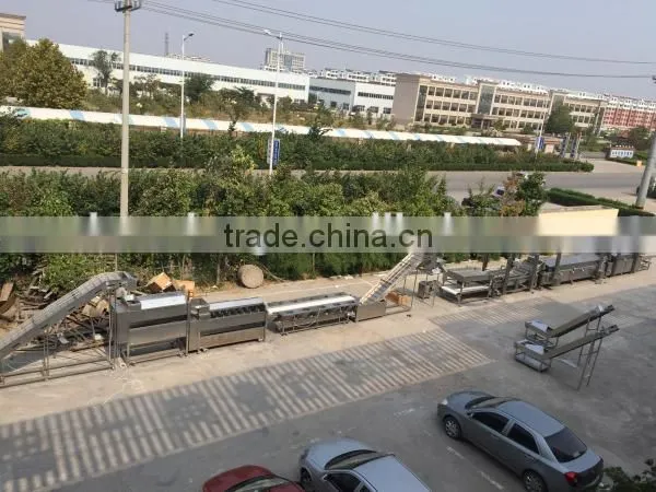 full automatic production line for frozen french fries
