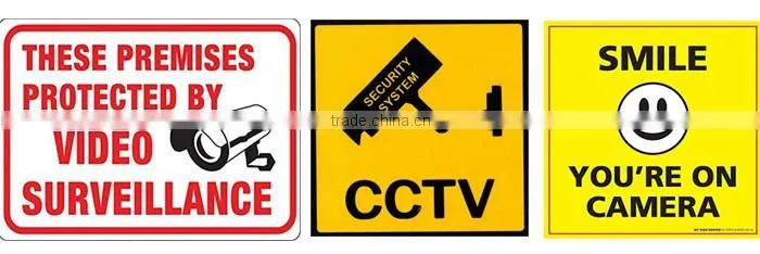 2016 Best Selling Excellent Deterrent 2pcs 1.5VAA Batteries Operated Blinking RED LED CCTV Dome Dummy Fake Seceurity Camera