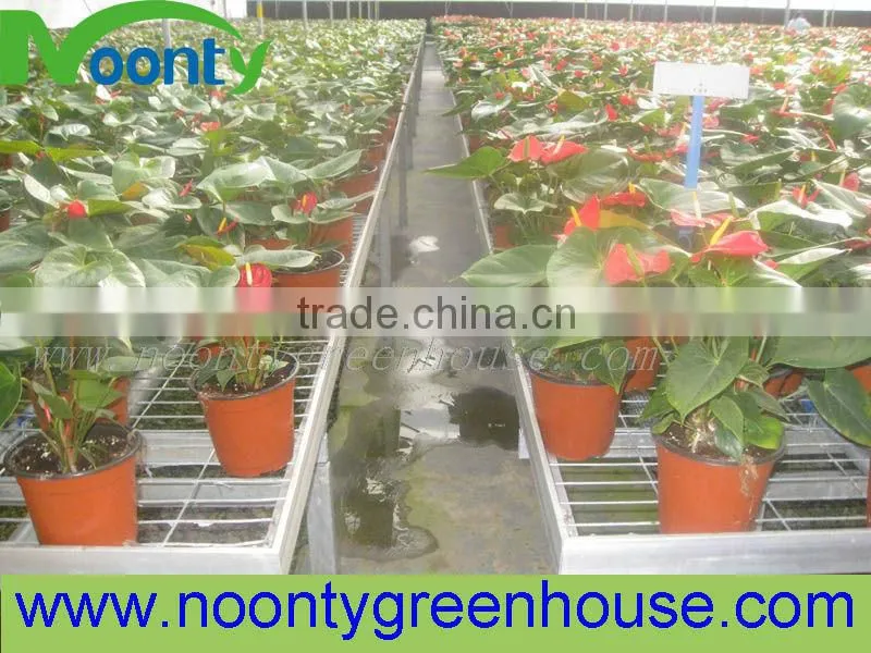 Commercial greenhouses
