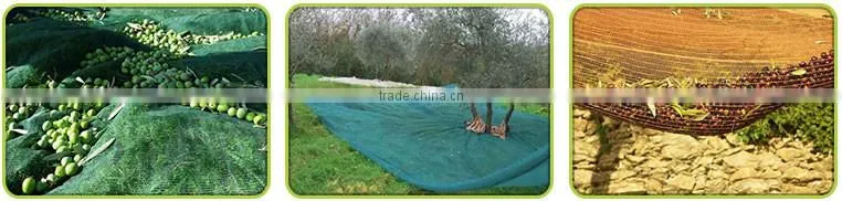 China Wholesale Olive Collecting Net Product for Sale