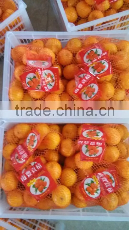Baby nanfeng orange