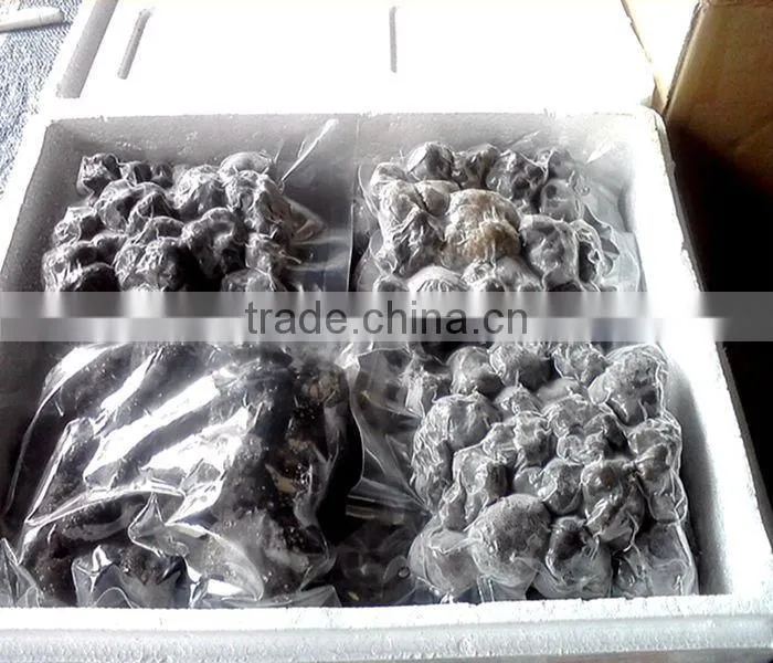 Chinese Black Truffle price