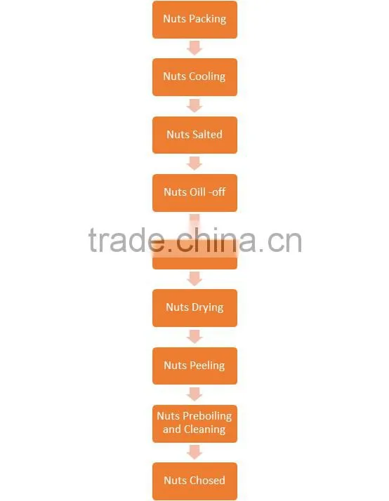 Stainless Steel 304 - Cashew Nuts Processing Line, Stainless Steel 304 - Nut Machines