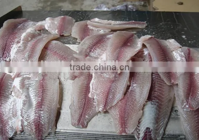 high capacity fish scale remover/fish scale remover/fish scaling machine