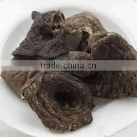 Dried Sarcodon Imbricatus Mushroom