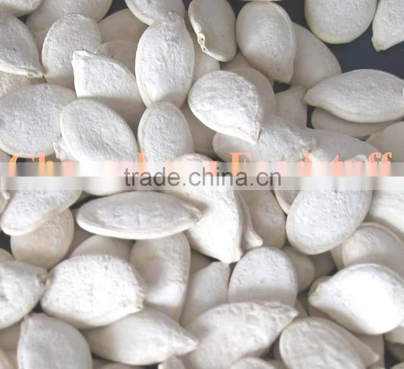 Roasted and Salted Snow White Pumpkin Seeds