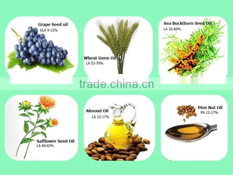 Pure organic borage seed oil rich in Unsaturated Fatty Acids vegetable oil