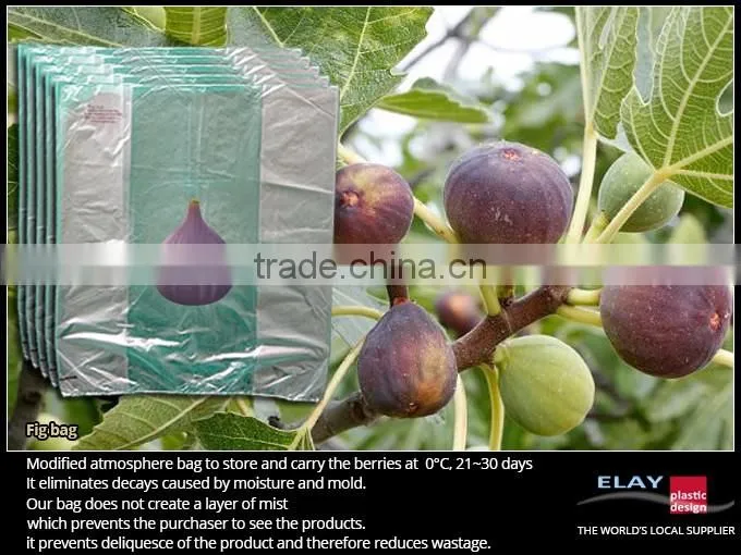 Dragon fruit bag