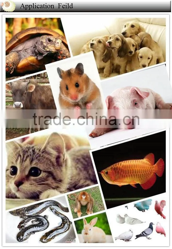 Best Price 125KHz RFID Smart Waterproof Microchip for Animal Identification