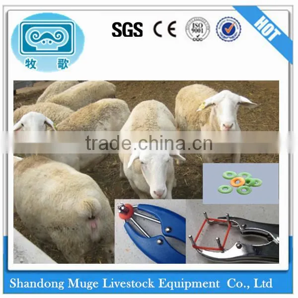 Animal Husbandry Equipment Veterinary Burdizzo Castration