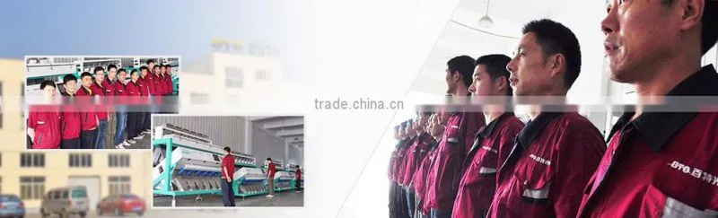 Agriculture Grading Equipment Wolfberry Color Sorter